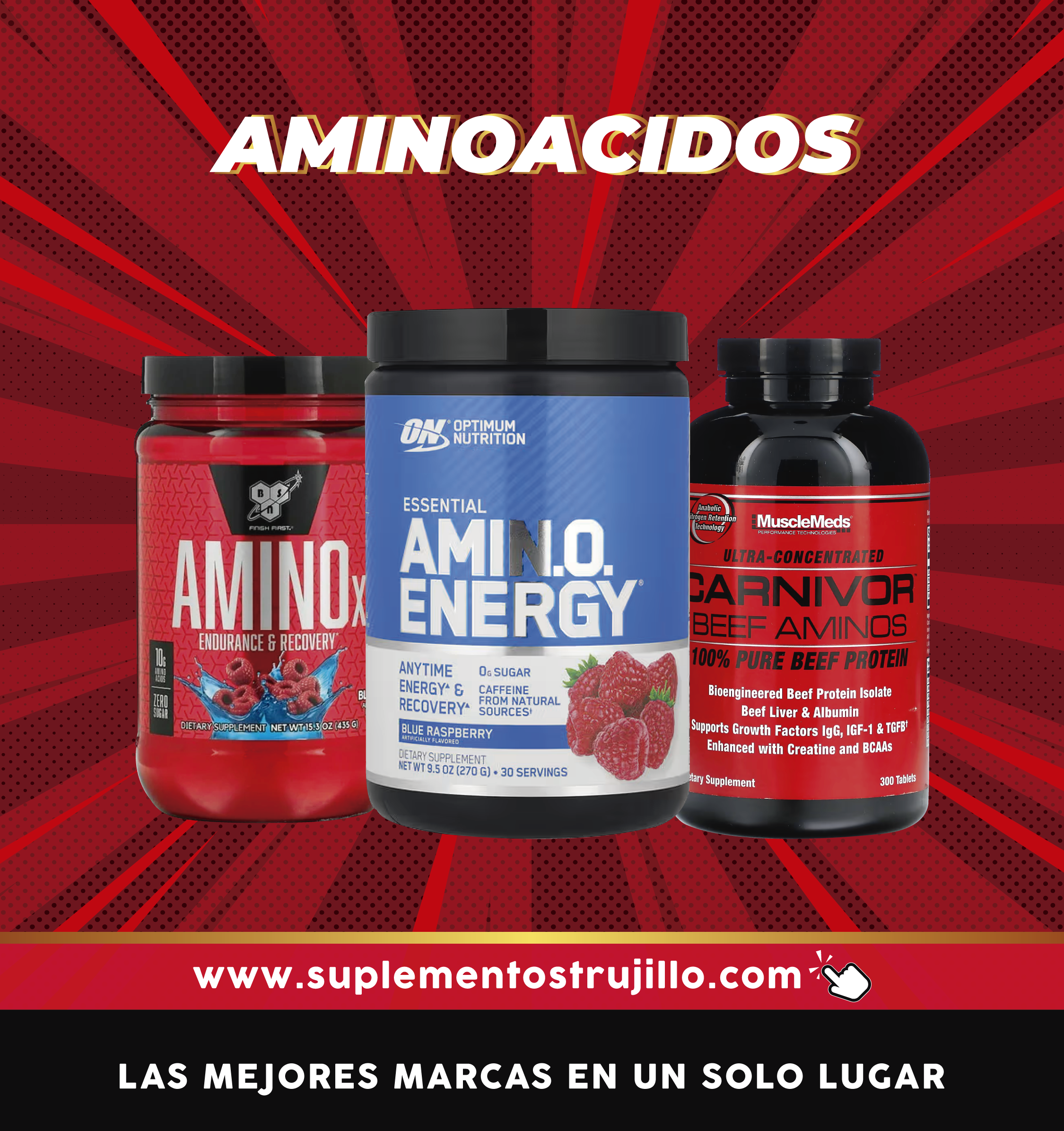 AMINOACIDOS