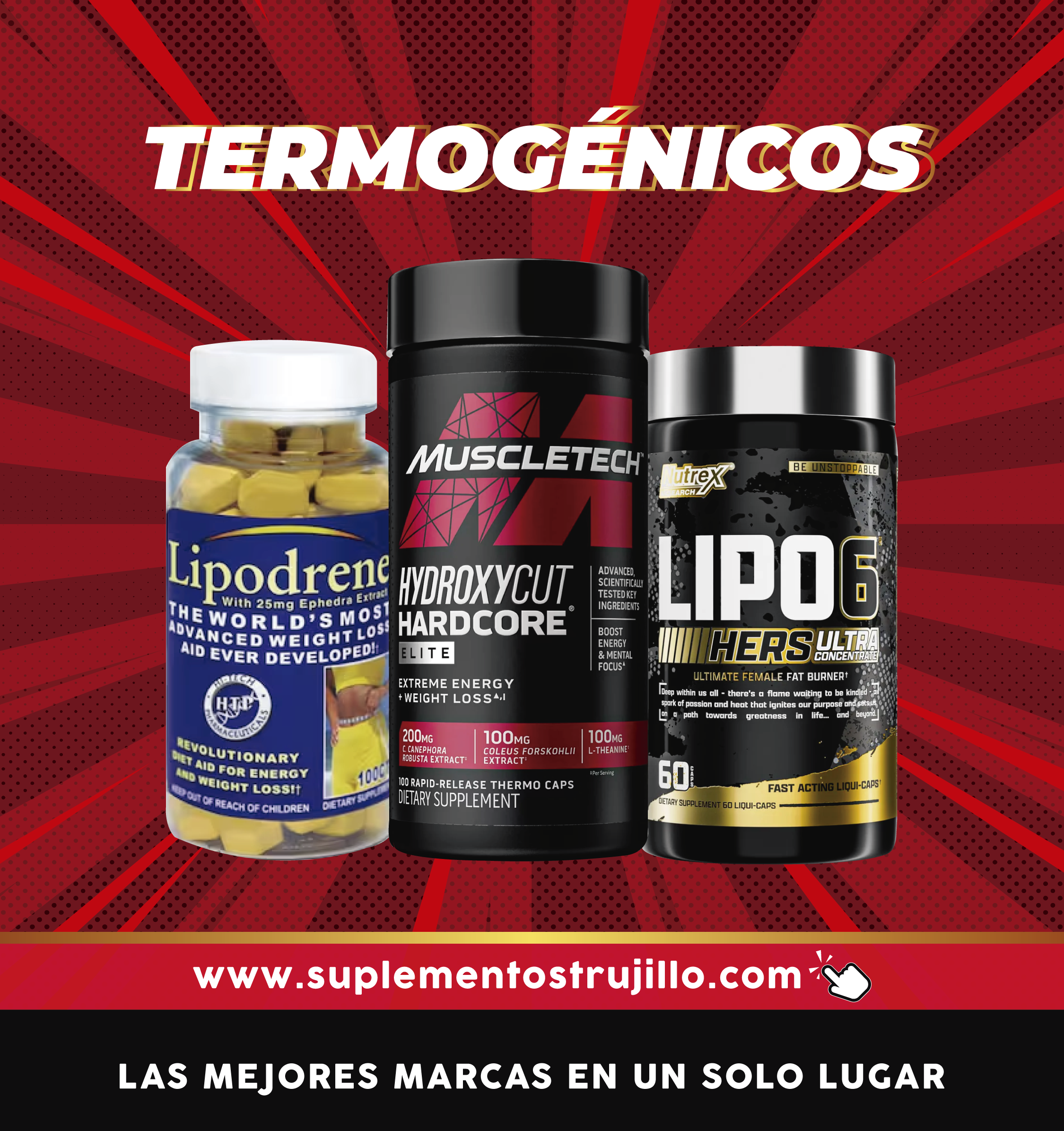 TERMOGÉNICOS
