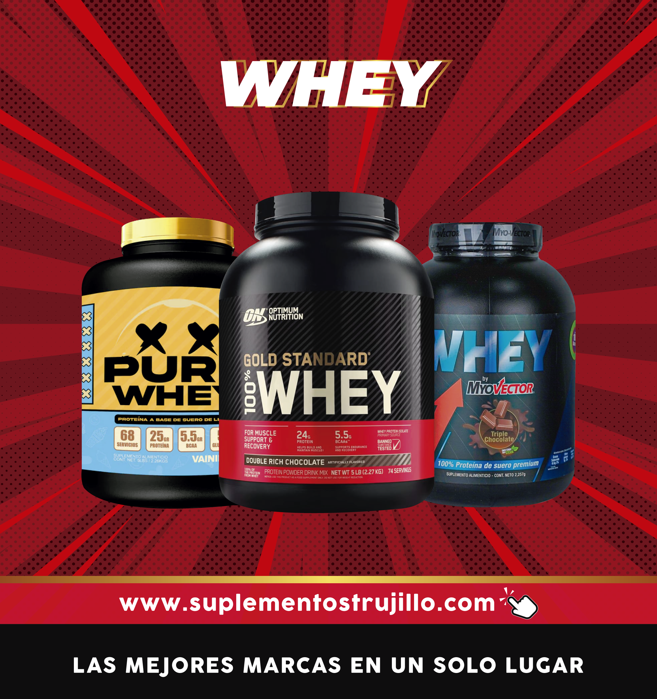 WHEY - SUERO DE LECHE