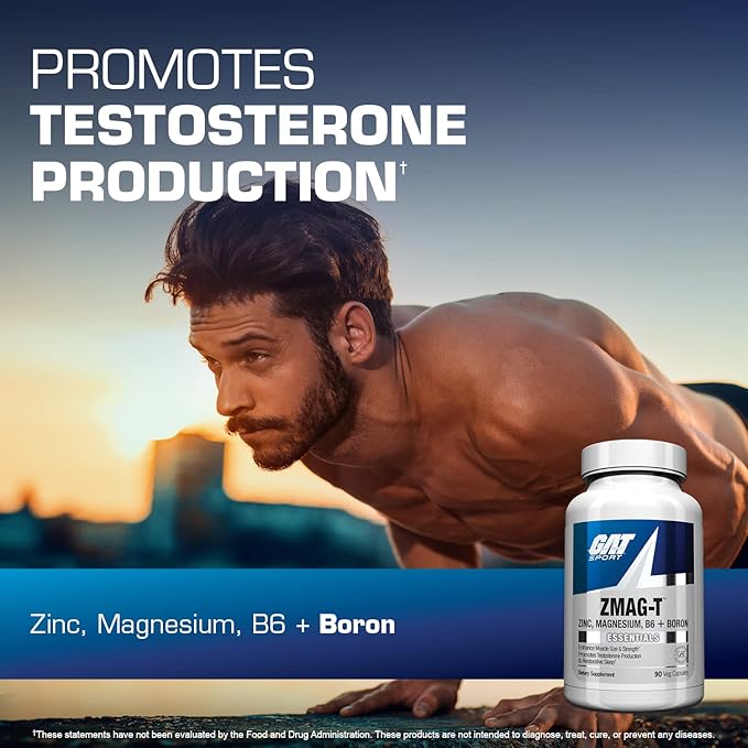 ZMAG-T GAT SPORT 90 SERVICIOS