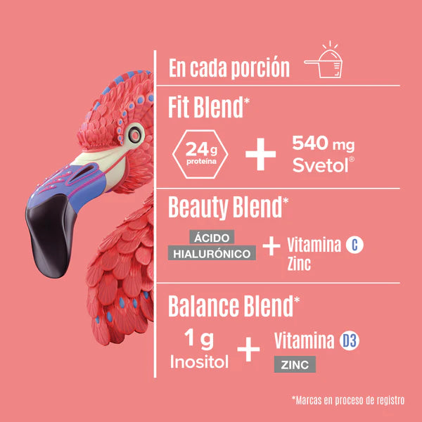 FITMINGO PROTEÍNA VEGETAL BIRDMAN 510g